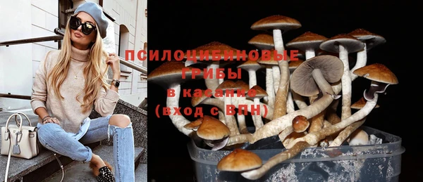 spice Тихорецк