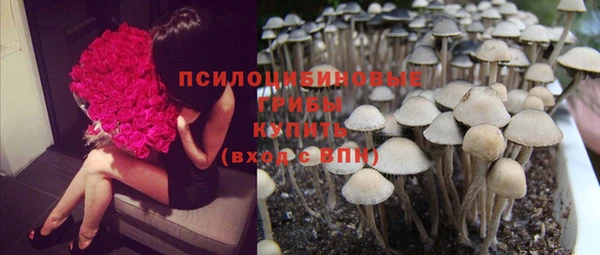 кокаин Почеп