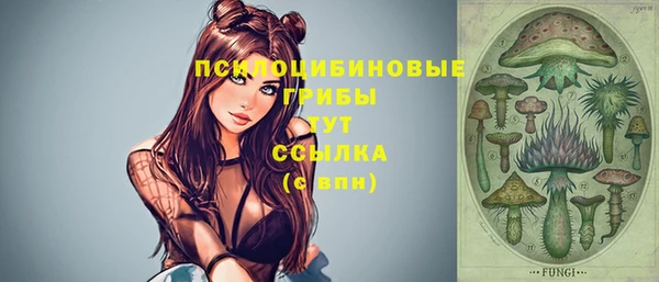 ешки Аксай