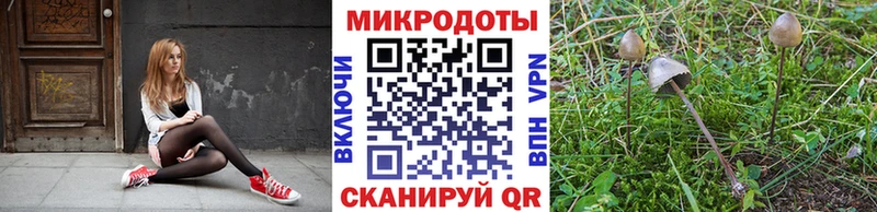 Галлюциногенные грибы MAGIC MUSHROOMS сколько стоит Сясьстрой
